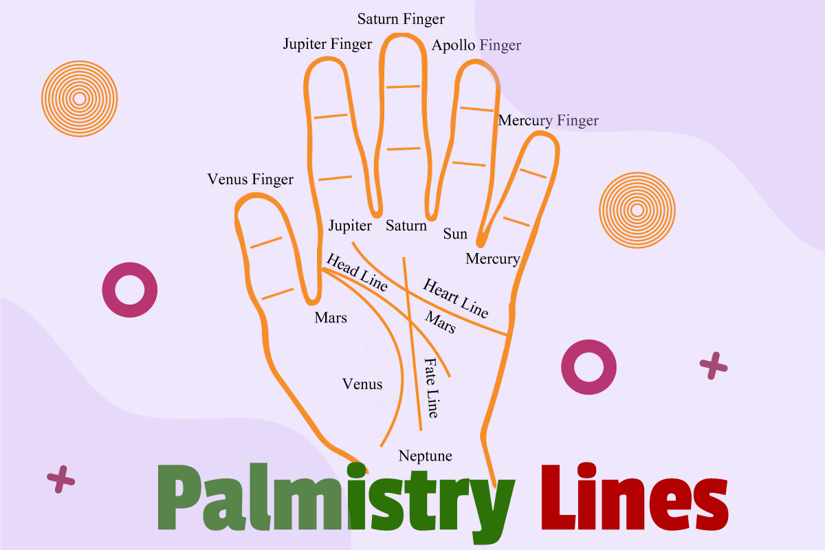 हस्तरेखाओं का चित्र, जिसमें हृदय, मस्तिष्क, जीवन और भाग्य रेखाएं दिखाई गई हैं