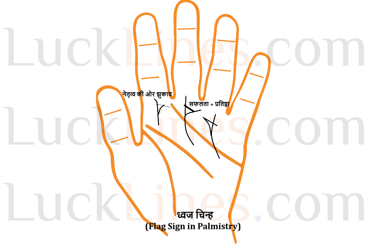 A hand showing the auspicious Flag sign on the Jupiter mounts (ध्वज चिन्ह) indicating strong leadership and spiritual success.