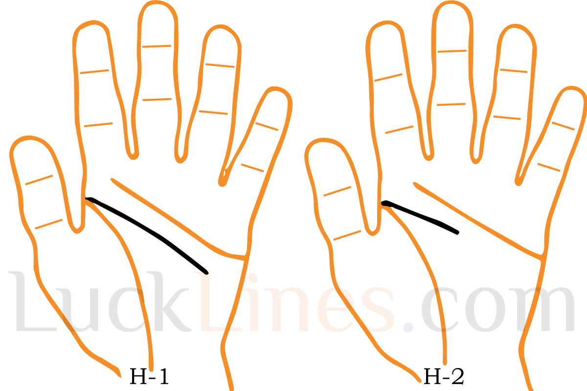 Head Line Variation in Palmistry