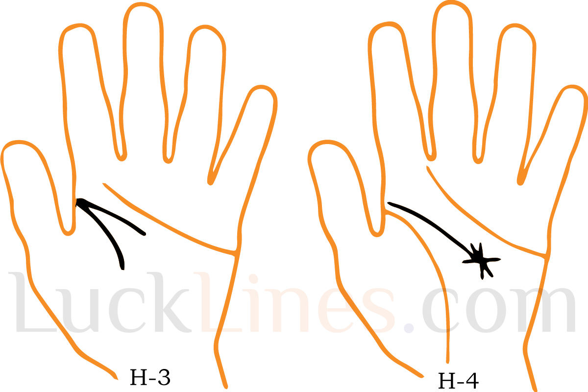 Head Line with Star