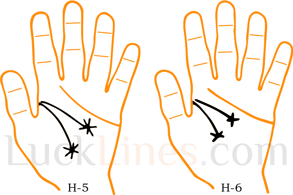 Head Line 5 and 6