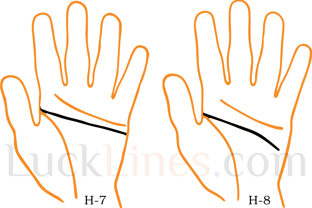 Head Line 7 and 8