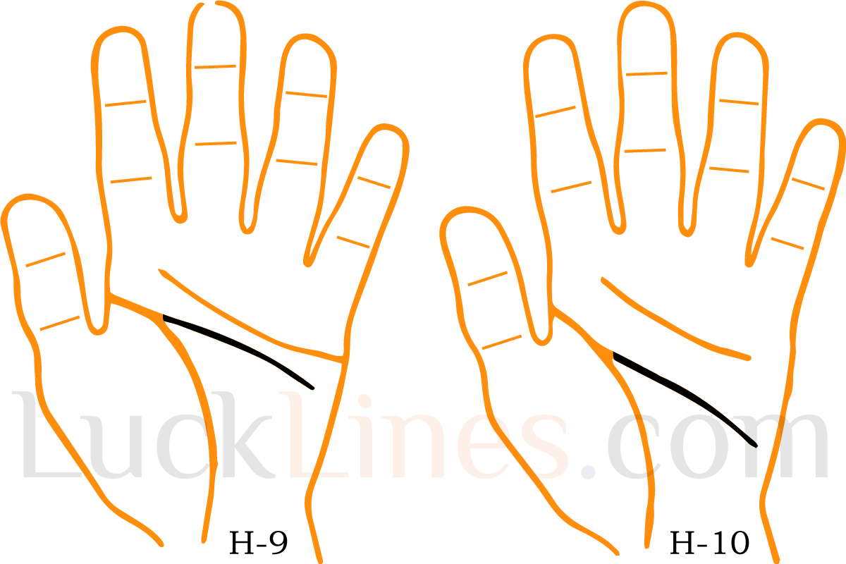 Head Line 9 and 10