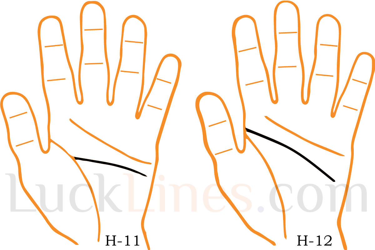 Head Line 11 and 12
