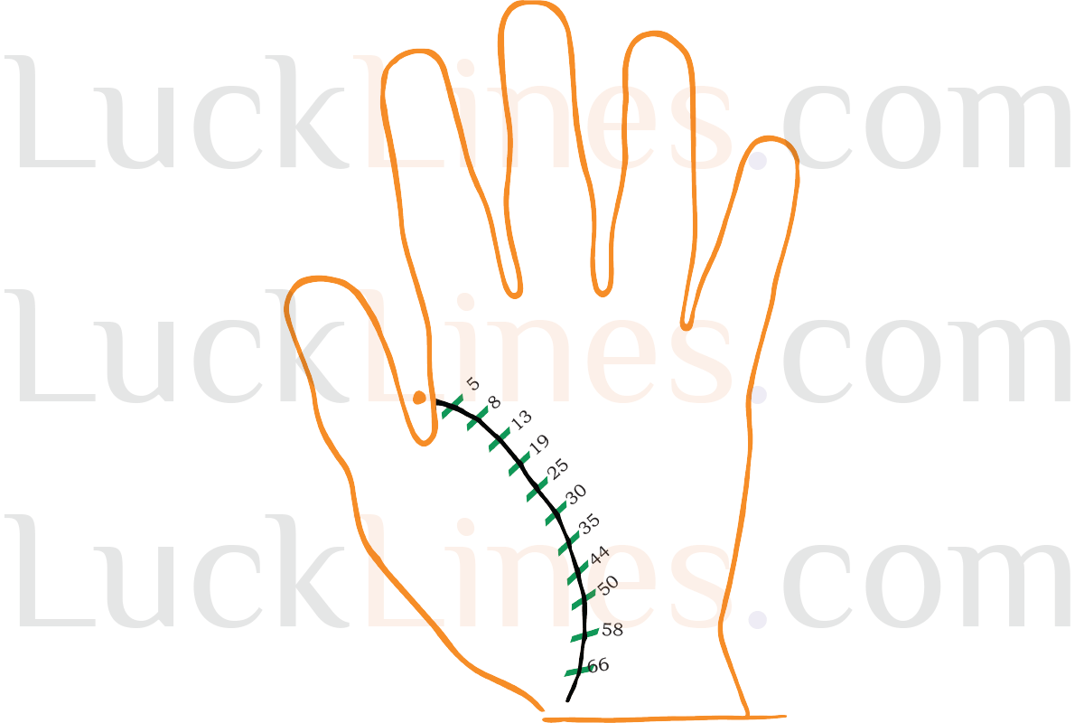 Palmistry-Age-Calculation-1