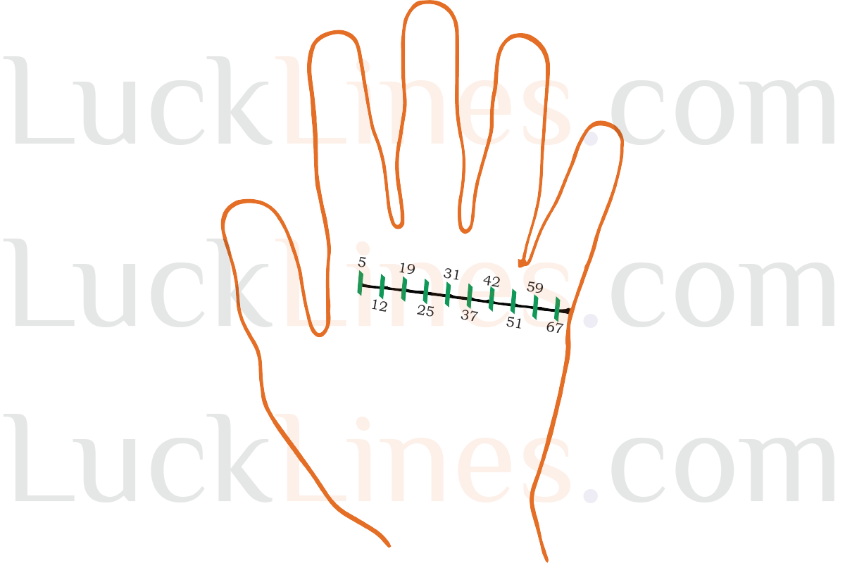 Palmistry-Age-Calculation-2