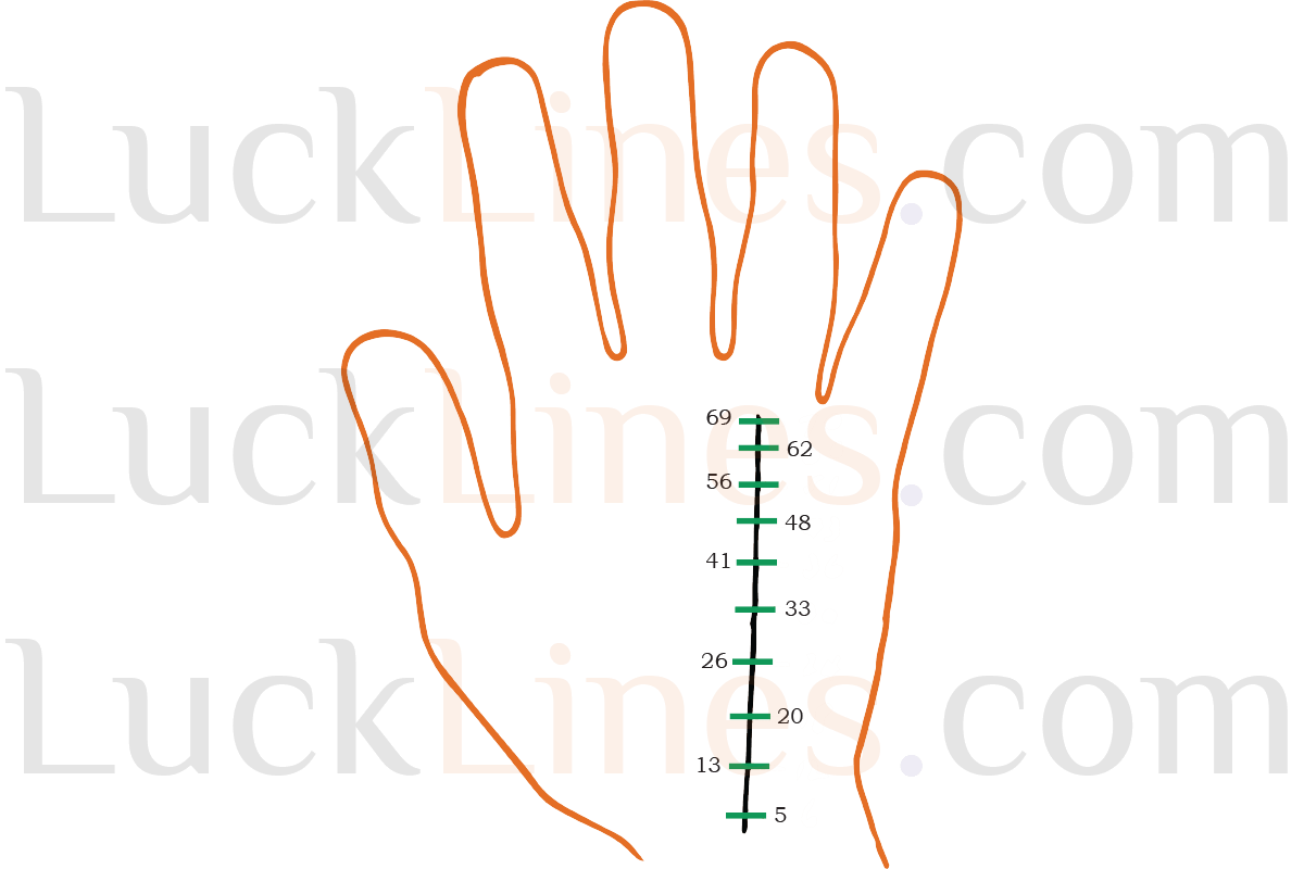 Palmistry-Age-Calculation-4