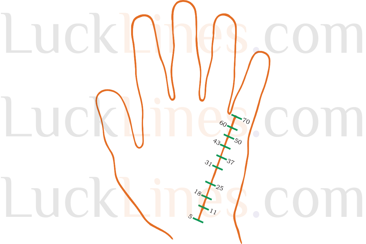 Palmistry-Age-Calculation-5