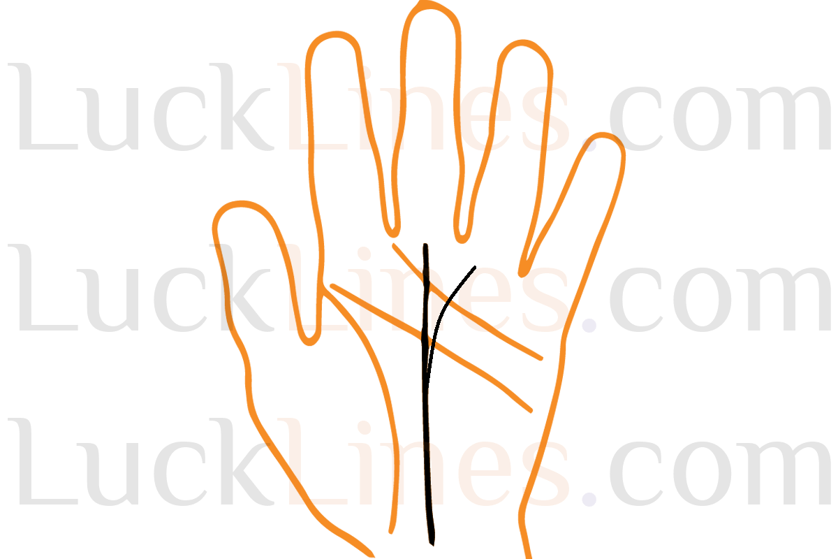 भाग्य रेखा से सूर्य पर्वत की ओर जाती शाखा और यश व प्रसिद्धि