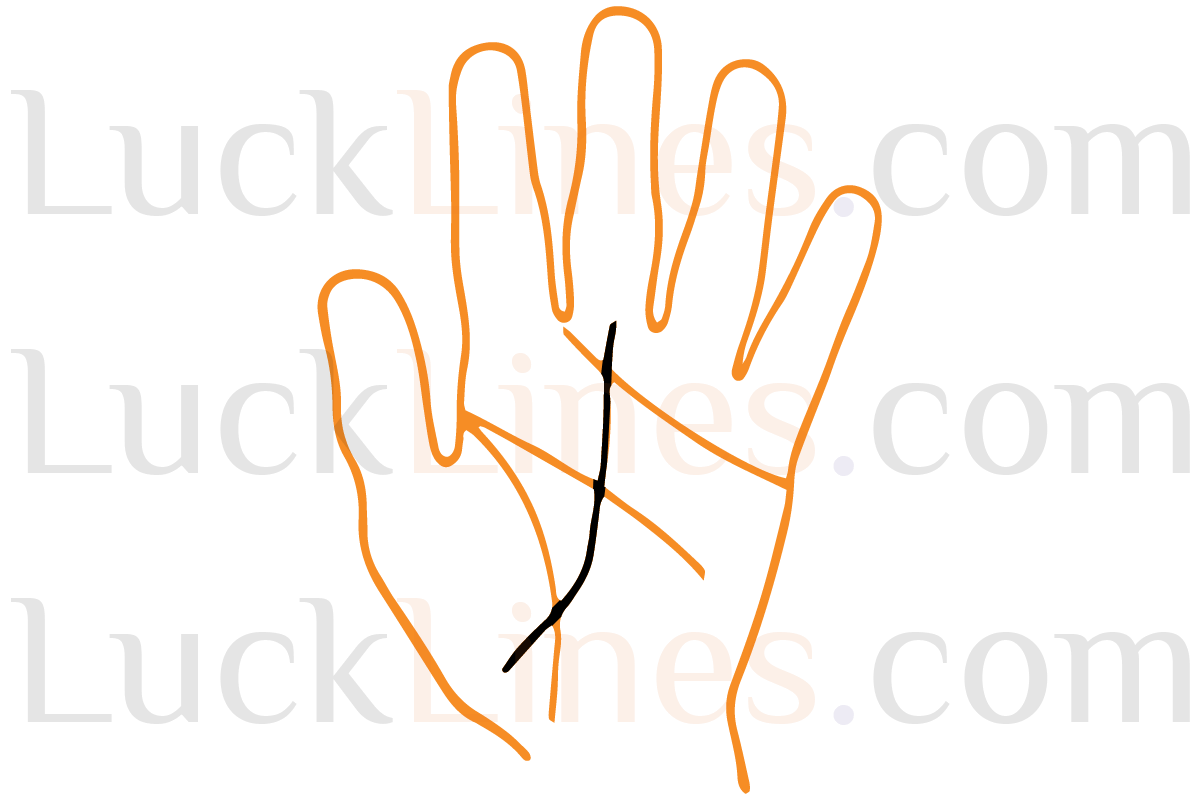 भाग्य रेखा का प्रारंभ और समाप्ति बिंदु