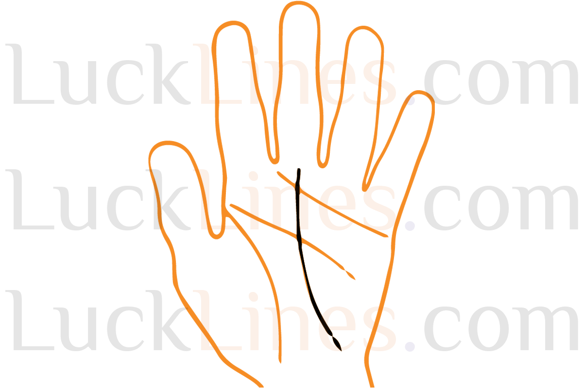 हस्तरेखा शास्त्र में भाग्य रेखा का स्थान