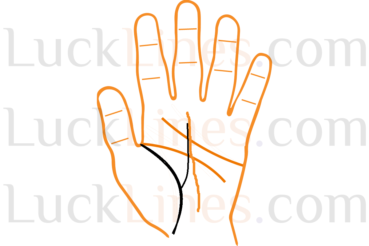 जीवन रेखा से उठी कोई उर्ध्वगामी रेखा हृदय रेखा तक जाकर रुकना