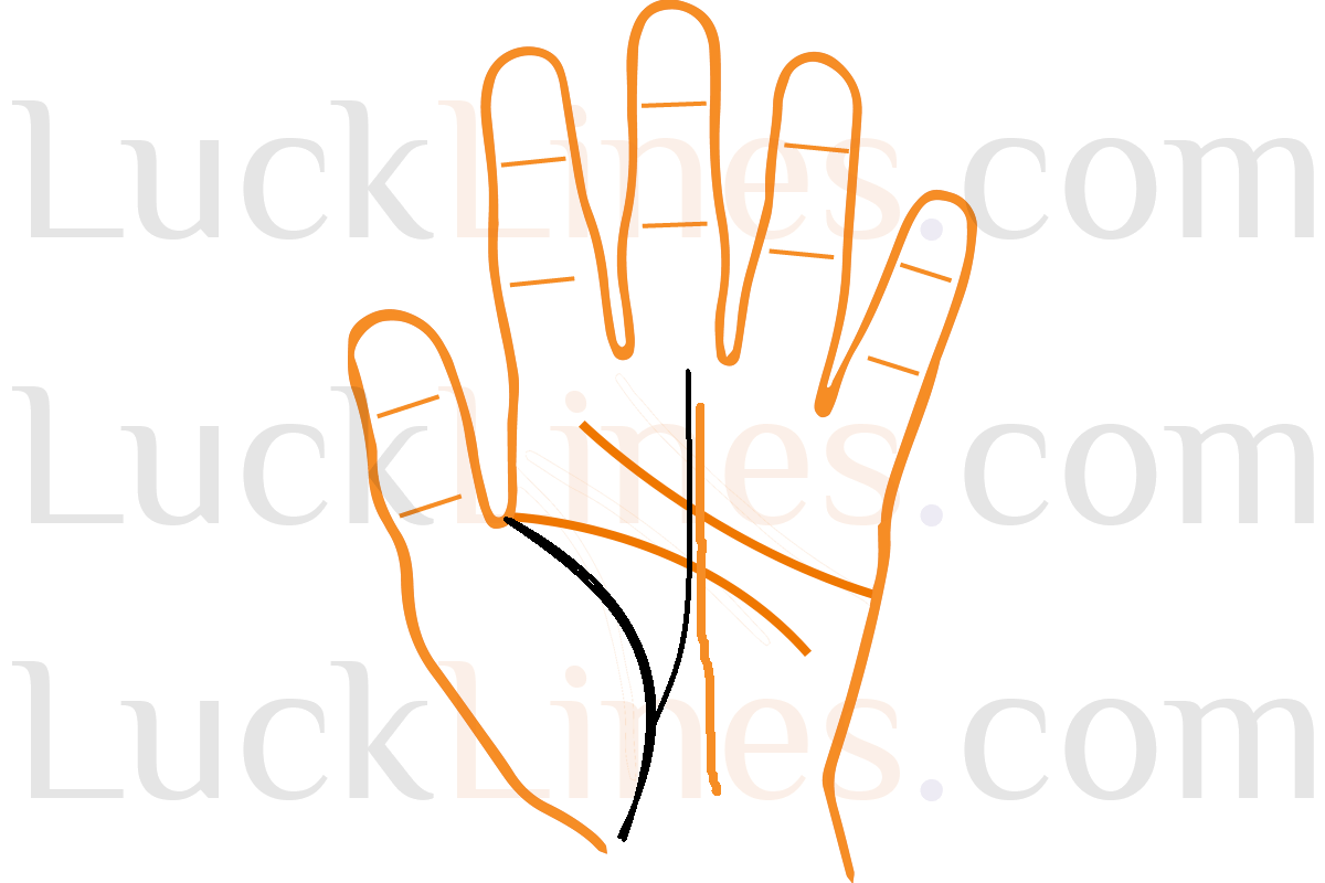 जीवन रेखा से उठी कोई उर्ध्वगामी भाग्य रेखा