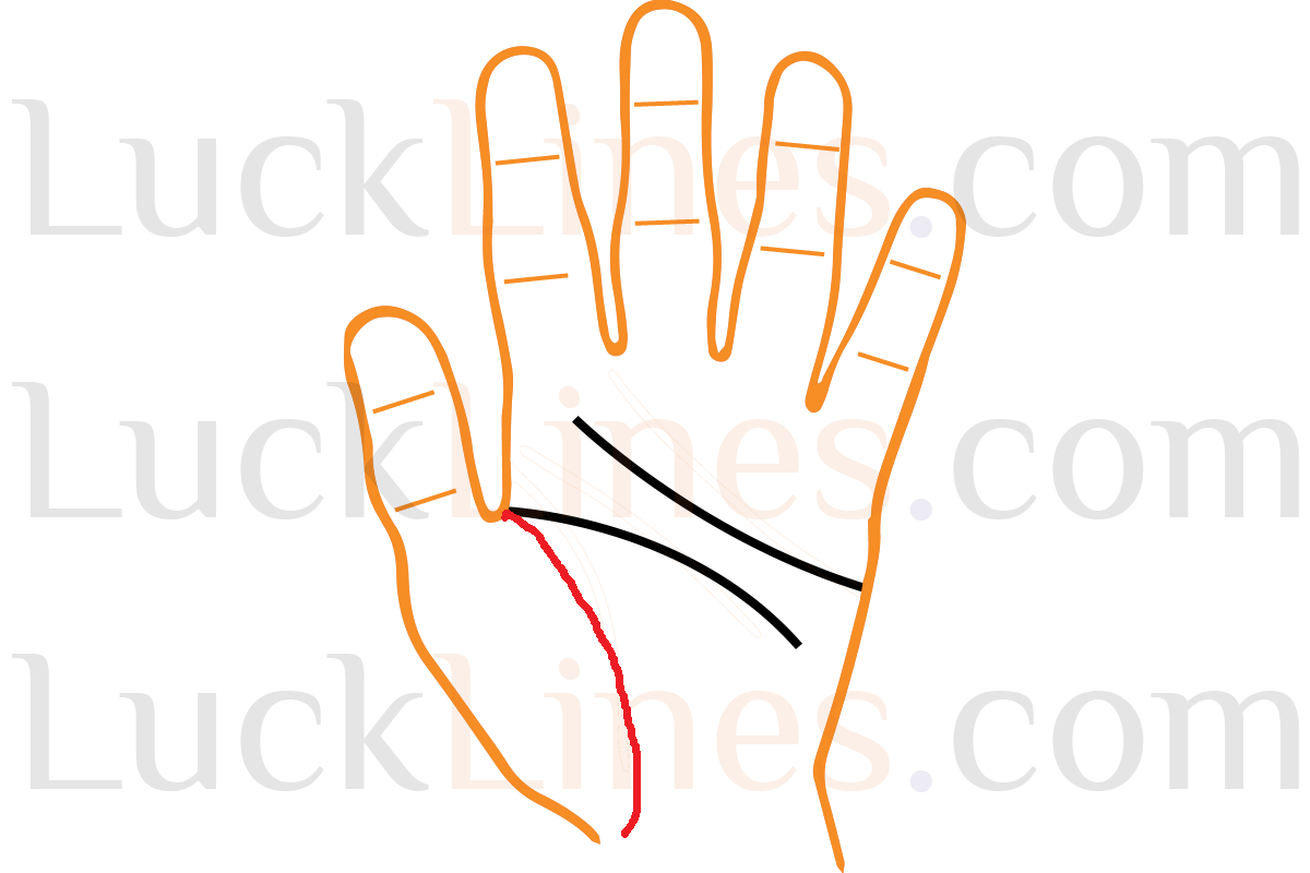 हथेली में जीवन रेखा का घुमाव और सक्रियता स्तर