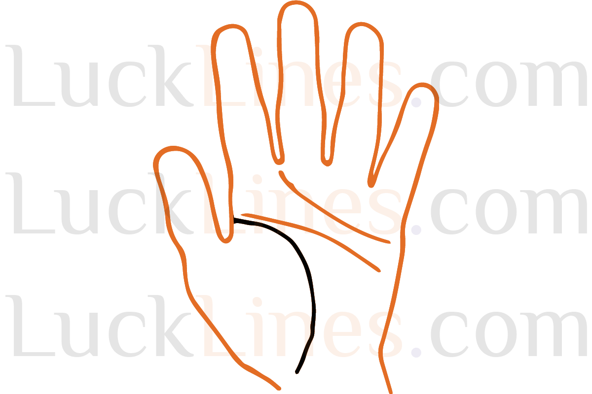 जीवन रेखा-4