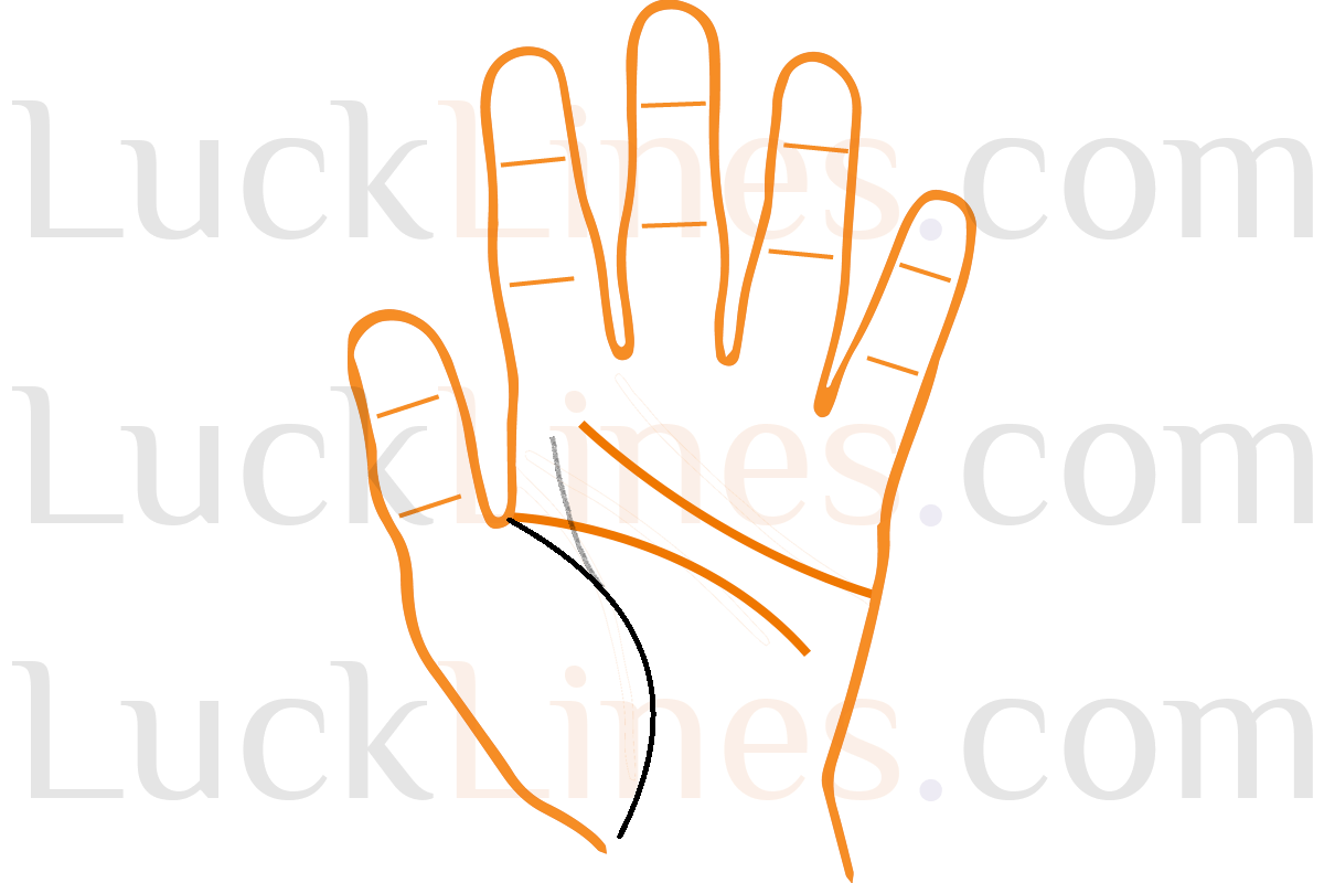 जीवन रेखा से ऊपर उठती रेखाएँ