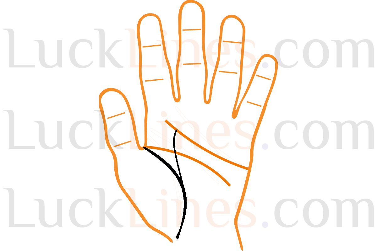 जीवन रेखा से उर्ध्वगामी रेखा का हृदय रेखा तक रुकने का अर्थ