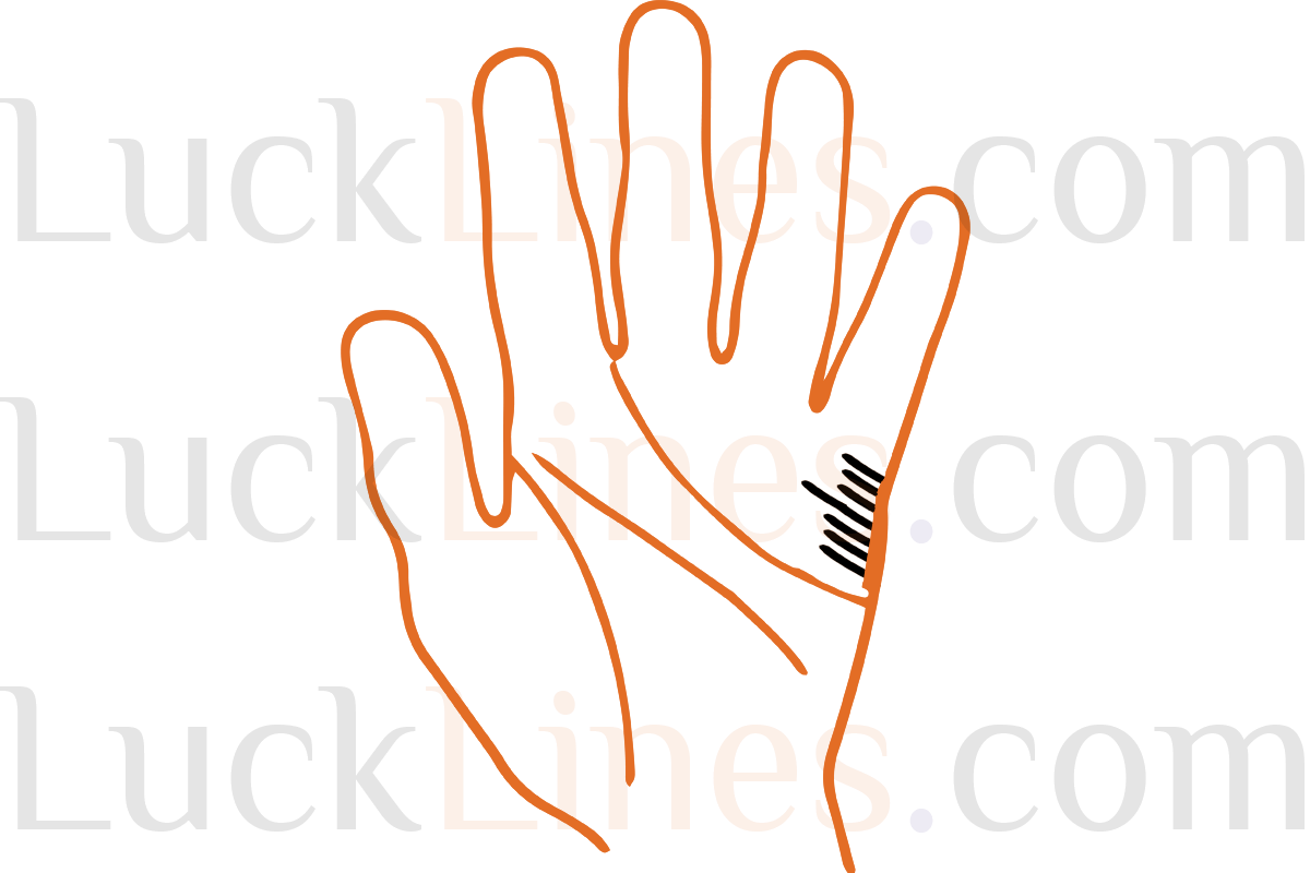 Types of विवाह रेखा