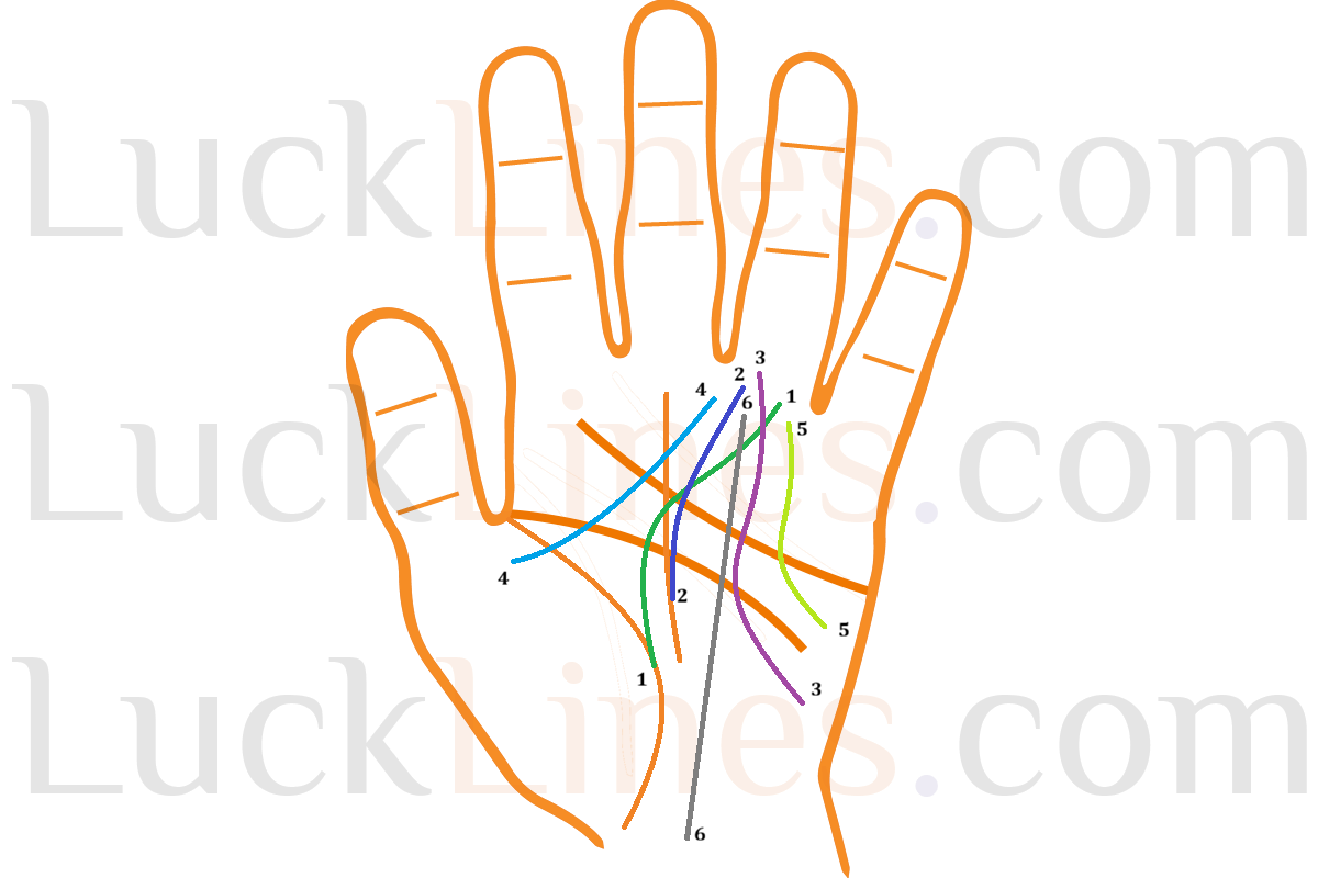 हथेली में सूर्य रेखा का स्थान दर्शाता palmistry diagram