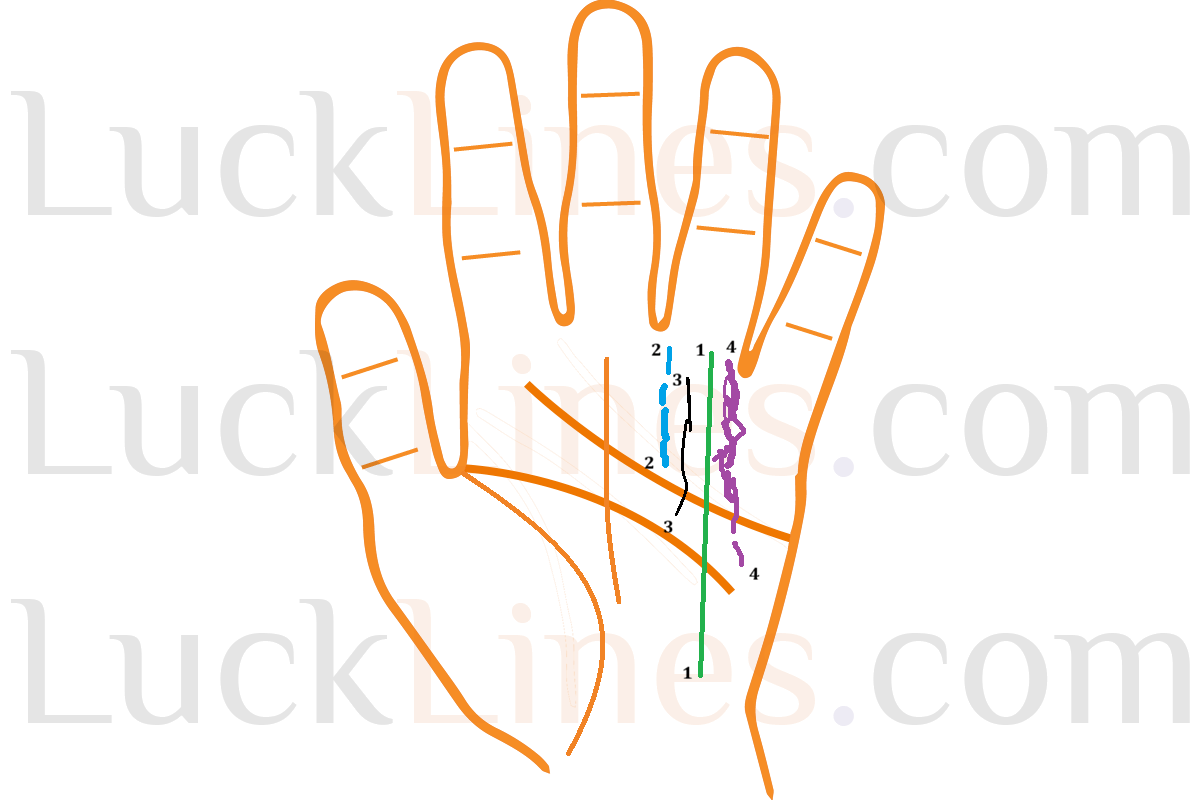 सूर्य रेखा की लंबाई, गहराई और बनावट