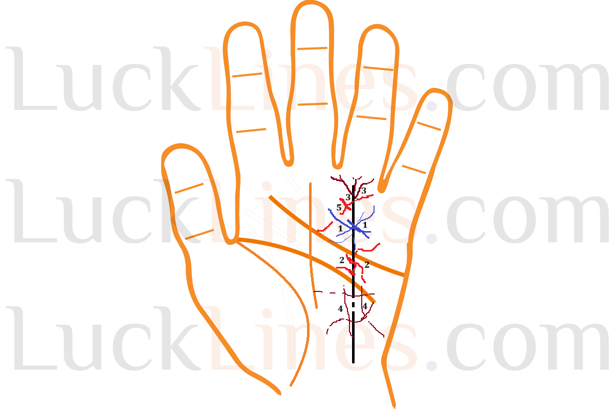 सूर्य रेखा पर विशेष चिन्हों के शुभ-अशुभ संकेत