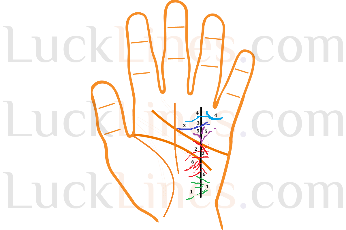 सूर्य रेखा से ऊपर, नीचे जाने वाली तथा इसे काटने वाली रेखाएँ