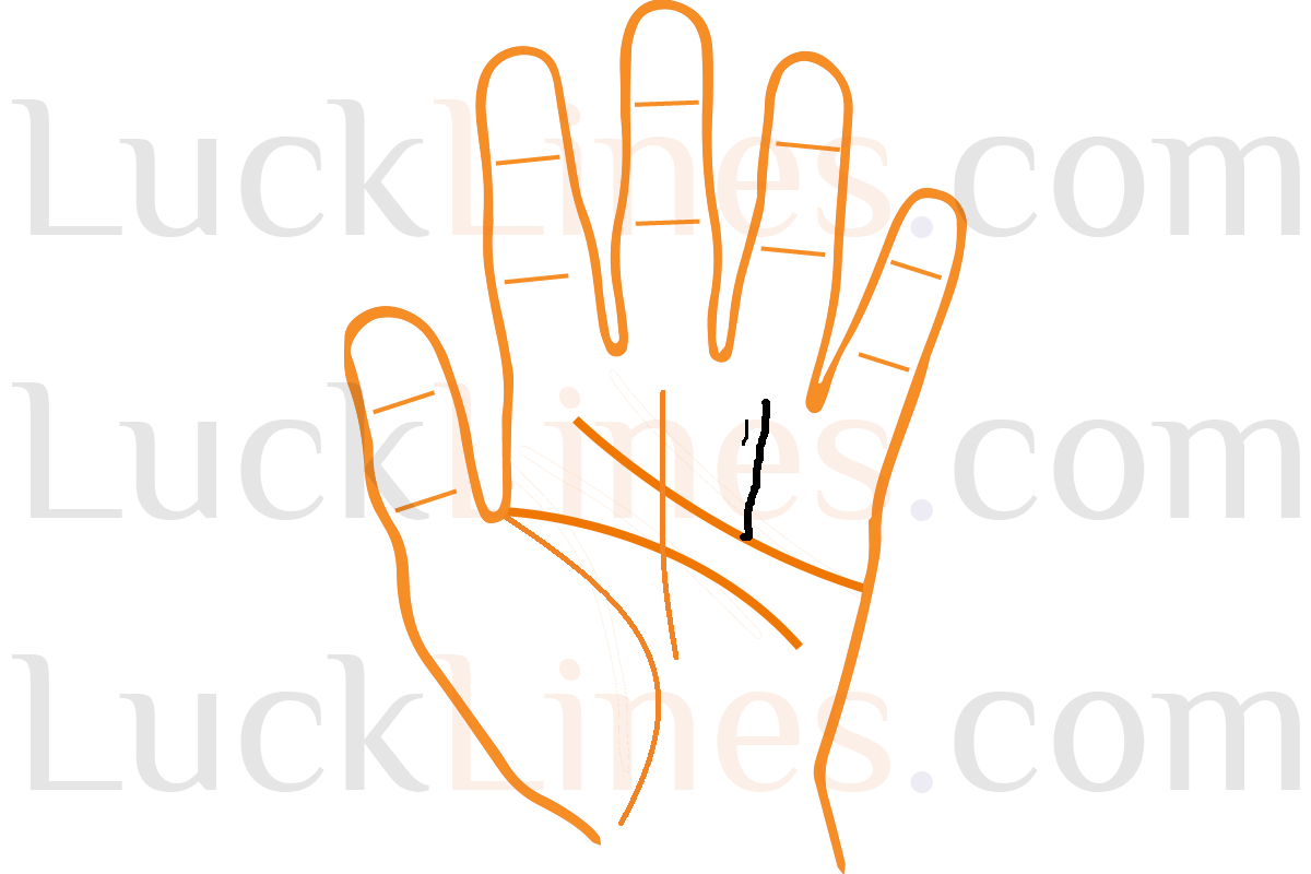 हृदय रेखा से उठने वाली सूर्य रेखा का संकेत