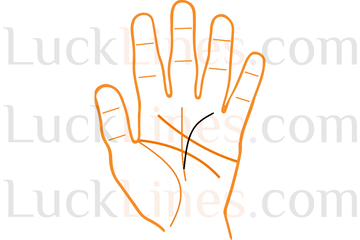भाग्य रेखा से उठती सूर्य रेखा का palmistry चित्र