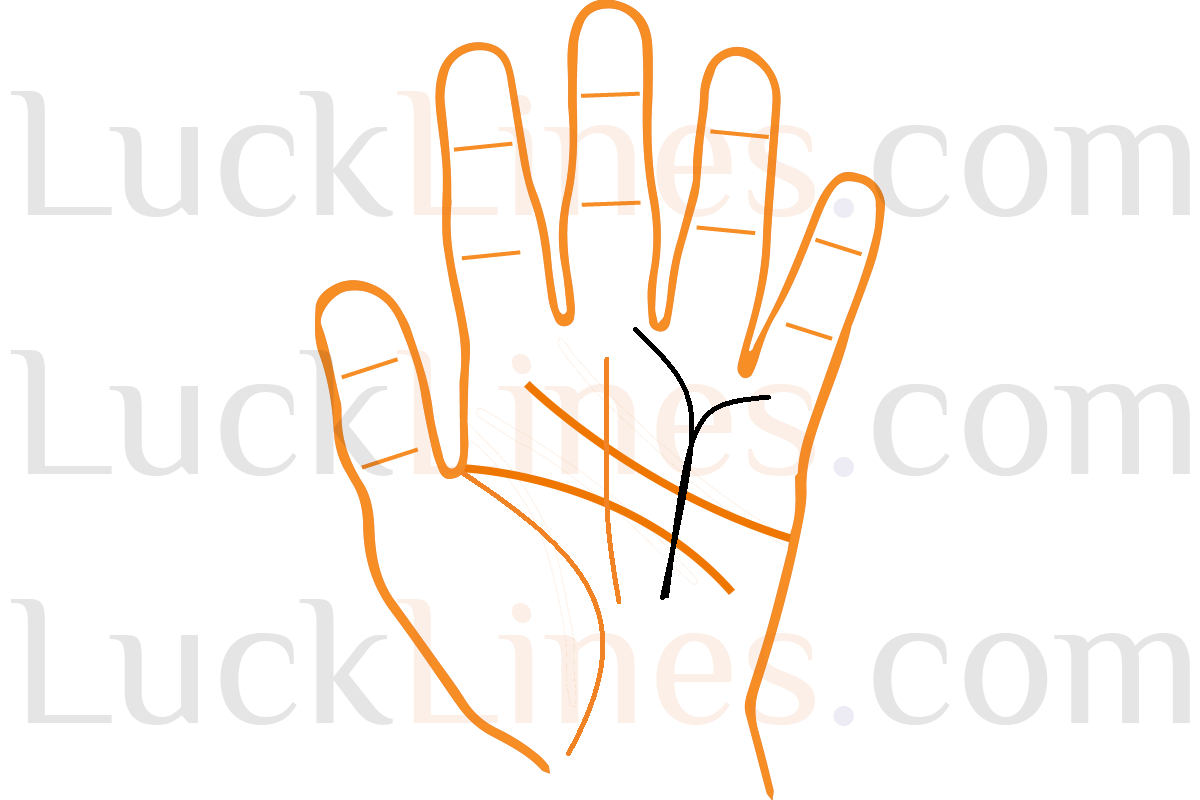 दो शाखाओं में विभाजित सूर्य रेखा