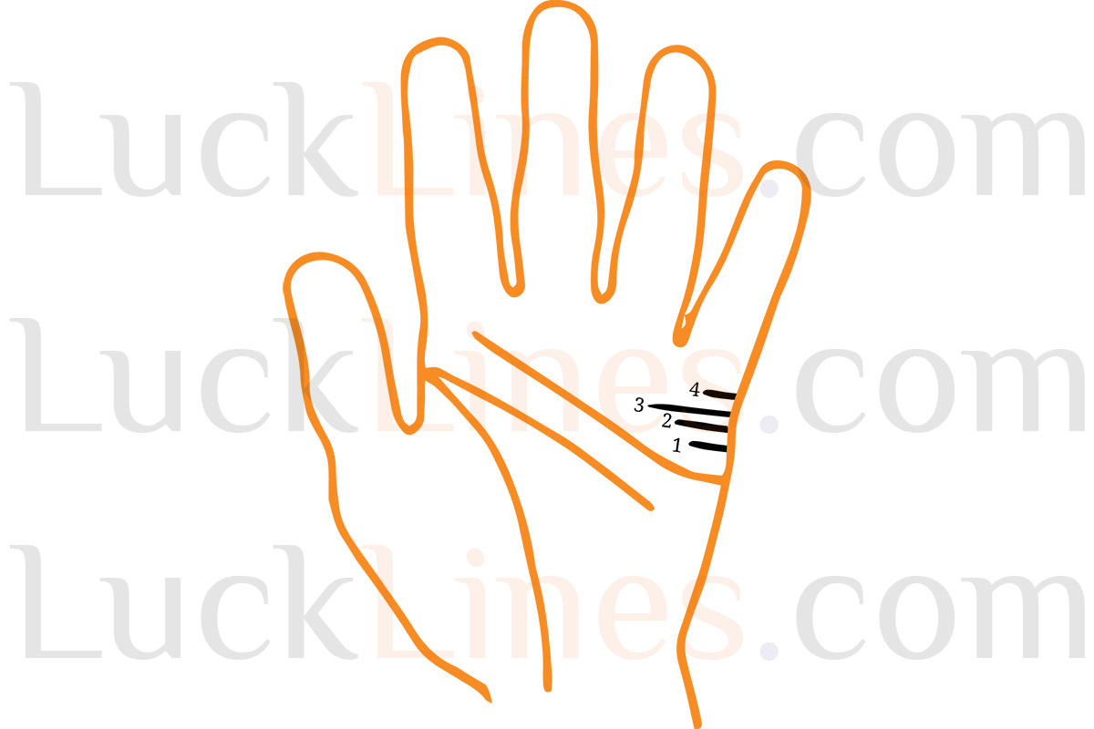 विवाह रेखा की Length