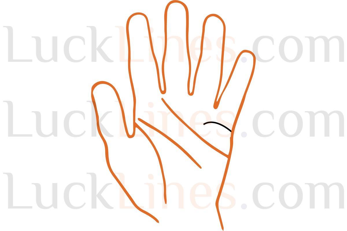 विवाह रेखा - 8