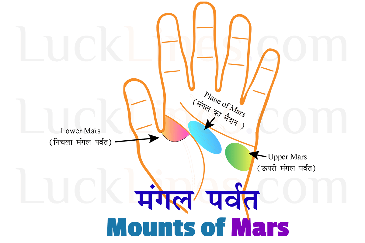 Diagram of Inner Mars, Outer Mars and Plain of Mars (Mangal ka Maidan) on palm