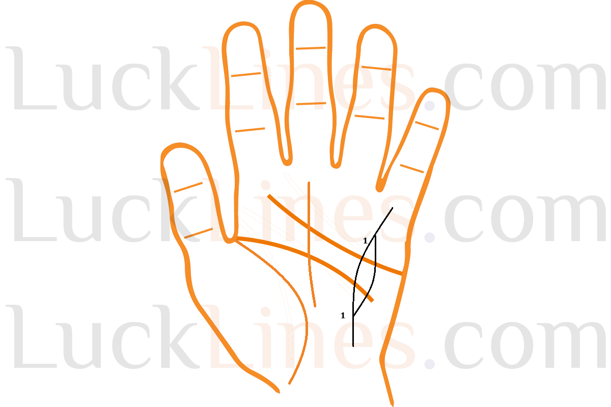 स्वास्थ्य रेखा (बुध रेखा) हस्तरेखा शास्त्र चित्र।