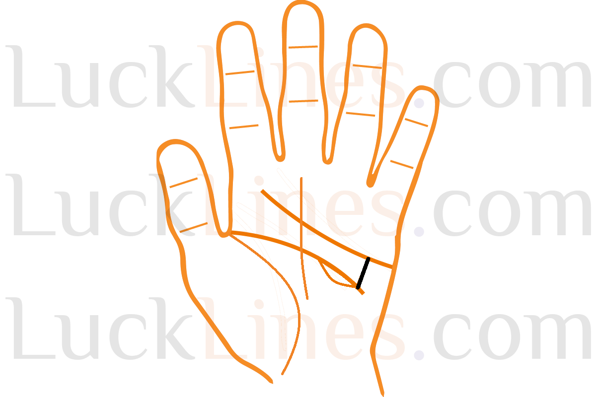 भारतीय ज्योतिष और हस्तरेखा शास्त्र में प्रयुक्त बुध रेखा की व्याख्या सहित हथेली का चित्र।