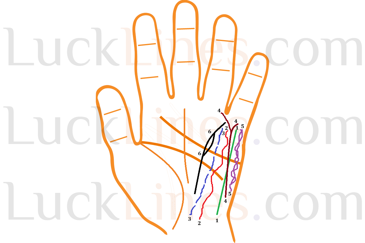 हथेली की स्वास्थ्य रेखा या बुध रेखा का स्पष्ट चित्र, जिसका उपयोग रोग और जीवनशैली के संकेत समझने में किया जाता है।