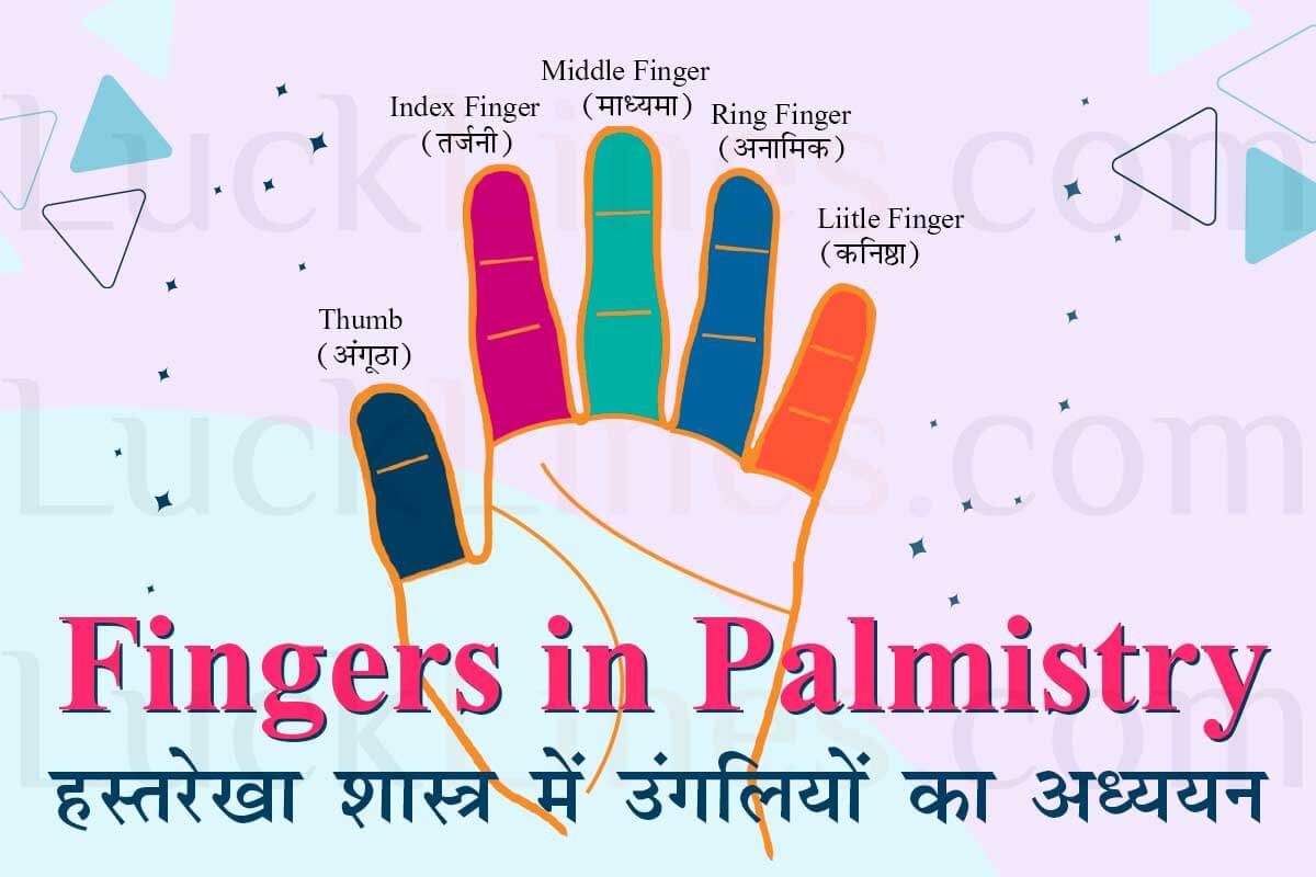 Comparison of long and short finger shapes in palm reading and the way how they reveal personality traits