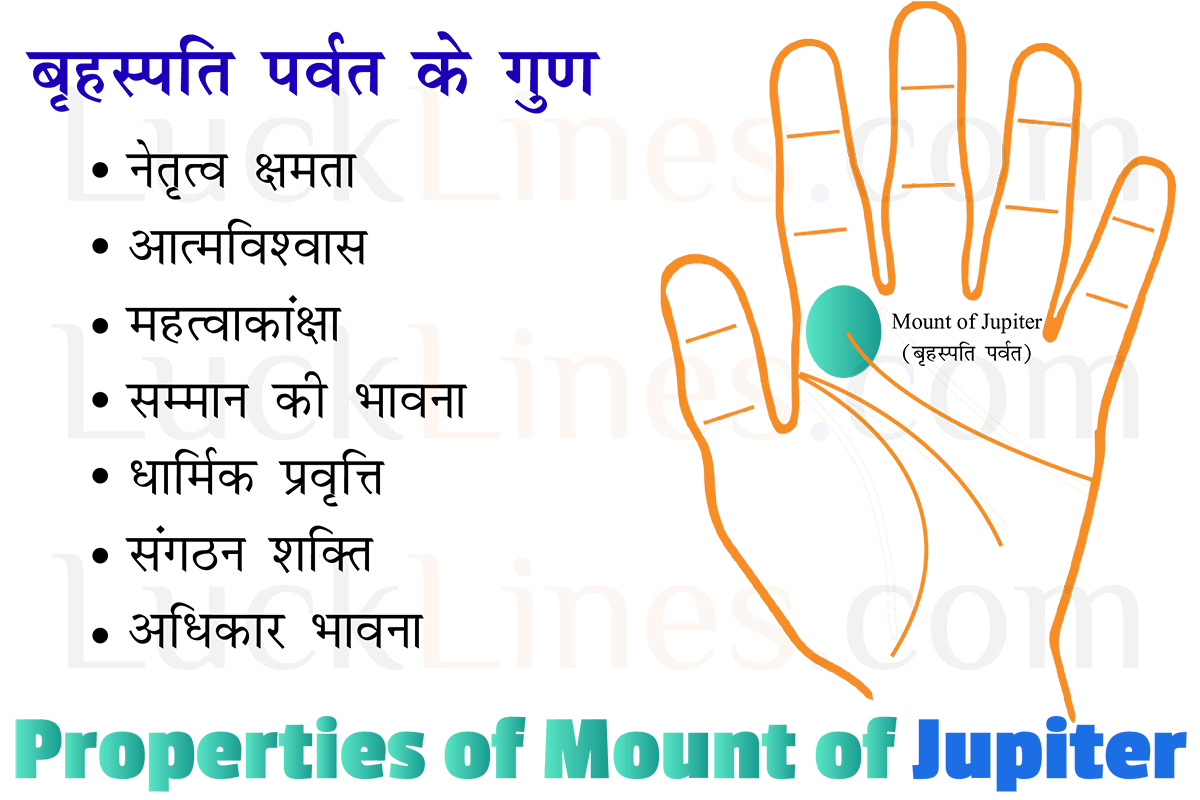 हथेली में तर्जनी उंगली (Index Finger) के ठीक नीचे गुरु पर्वत (Jupiter Mount) का सटीक स्थान।