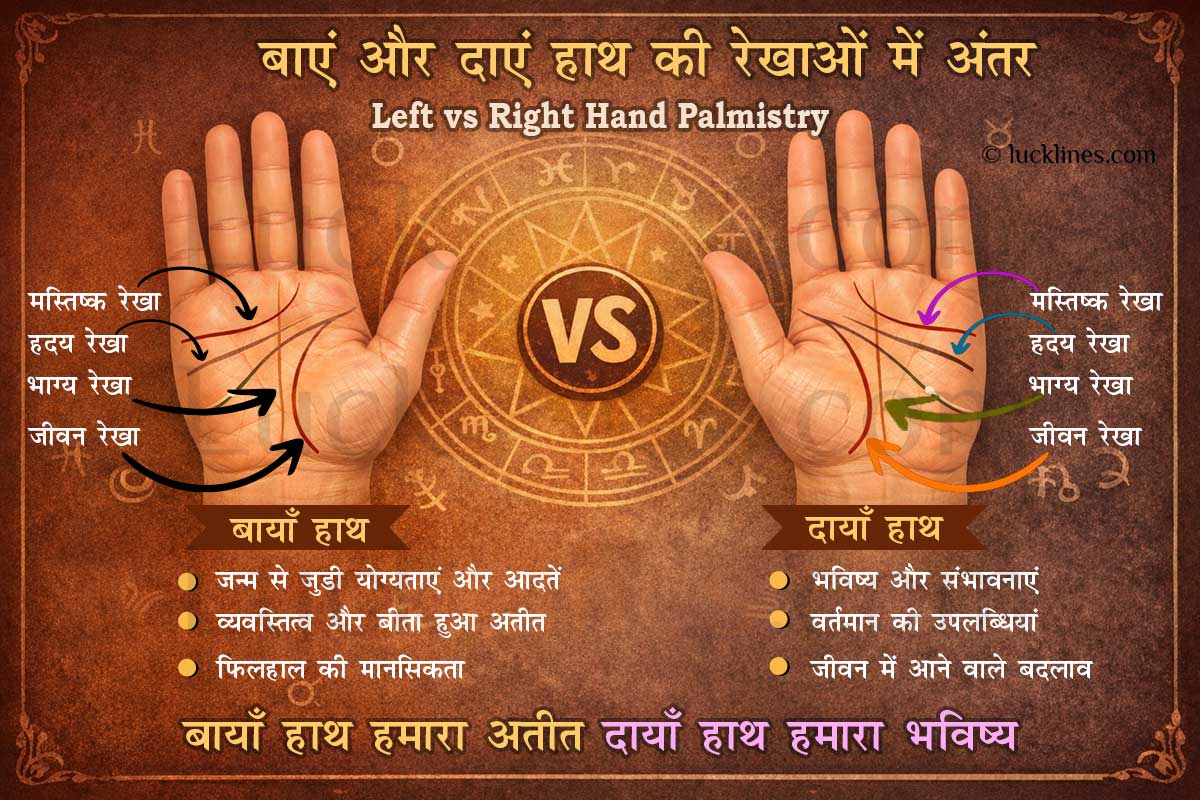 हस्तरेखा में दायां या बायां हाथ: कौन सा देखें